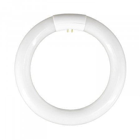 Tubo Fluorescente Circular T9 G10Q 22W 1300lm 6400K 7hSevenOn Iluminación Bajo Consumo 1