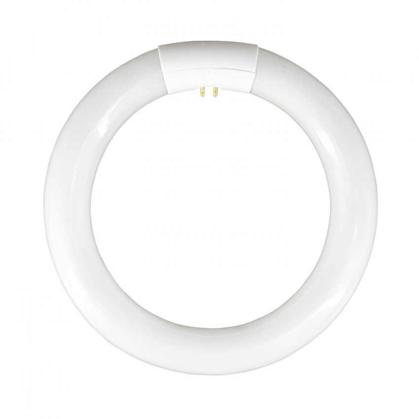 Tubo Fluorescente Circular T9 G10Q 22W 1300lm 6400K 7hSevenOn Iluminación Bajo Consumo 1 Tubo Fluorescente Circular T9 G10Q 22W 1300lm 6400K 7hSevenOn Iluminación Bajo Consumo 1