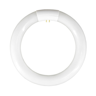 Tubo Fluorescente Circular T9 G10Q 22W 1300lm 6400K 7hSevenOn Iluminación Bajo Consumo 1