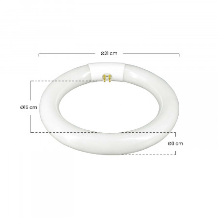 Tubo Fluorescente Circular T9 G10Q 22W 1300lm 6400K 7hSevenOn Iluminación Bajo Consumo 4 Tubo Fluorescente Circular T9 G10Q 22W 1300lm 6400K 7hSevenOn Iluminación Bajo Consumo 4