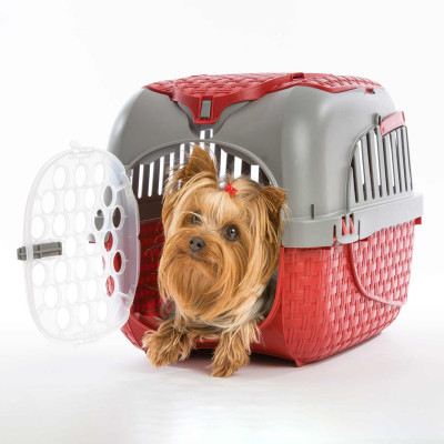 Maxy Tour transportador 59x38x37cm BAMA Transportines 21
